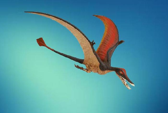 喙嘴龙在哪里生活的、喙嘴龙科 喙嘴龙在哪里生活的、喙嘴龙科