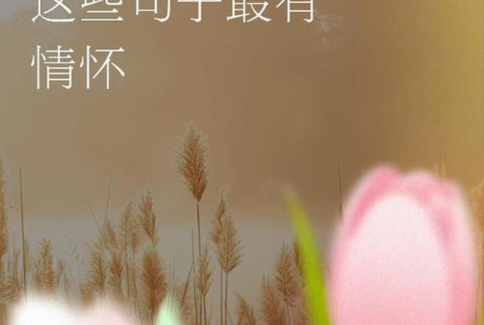 生活是水是酒;生活是水,而水,不等于诗 生活是水是酒;生活是水,而水,不等于诗