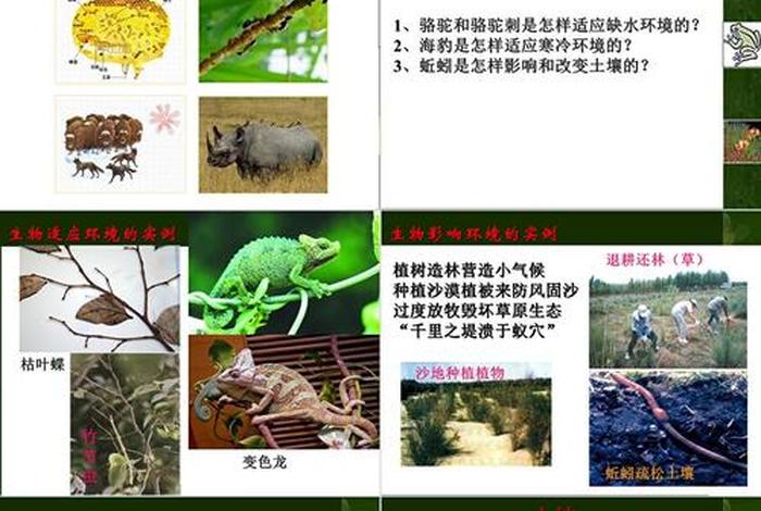 生物与生活有关的实例 生物与生活有关的实例有哪些