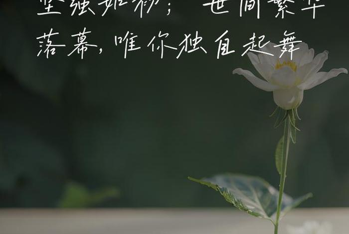 生活感悟的图片大全,生活感悟的图片大全唯美 生活感悟的图片大全,生活感悟的图片大全唯美