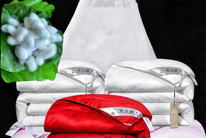乐居生活双宫茧蚕丝被质量怎样 乐居旗舰店 乐居生活双宫茧蚕丝被质量怎样 乐居旗舰店