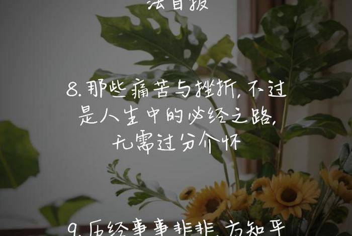 生活经典语录精辟,生活经典语录精辟图片 生活经典语录精辟,生活经典语录精辟图片