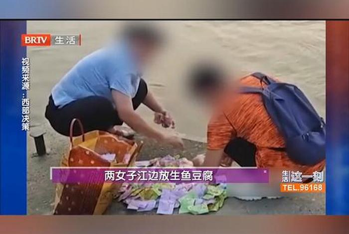 放生活动视频（放生动画视频）