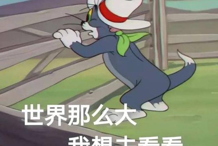 生活表情包在哪里找 - 生活的表情包