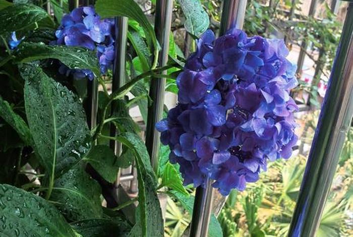 两人世界高清完整版免费观看 两人世界高清完整版免费观看我的小花园 两人世界高清完整版免费观看 两人世界高清完整版免费观看我的小花园