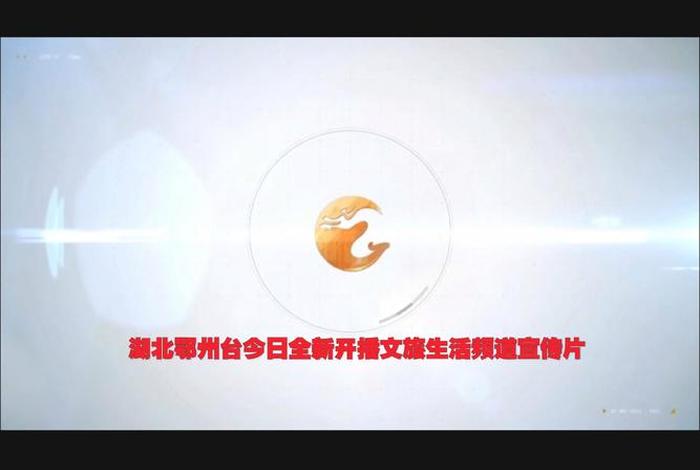 湖北生活频道怎么回看;湖北生活频道如何回看 湖北生活频道怎么回看;湖北生活频道如何回看