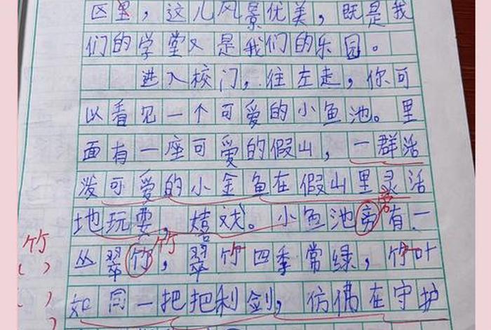 三年级作文我的校园生活;三年级我的校园生活优秀作文 三年级作文我的校园生活;三年级我的校园生活优秀作文