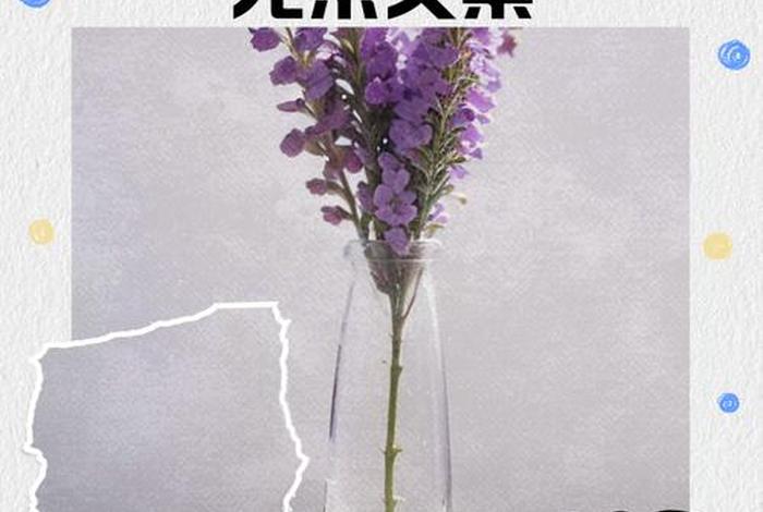 中年男人生活不易的说说，中年男人生活不易的说说图片