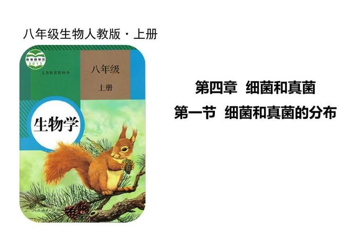 生物与生活ppt、生物与生活的联系