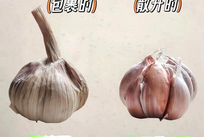 生活妙招视频大全视频下载；生活妙招视频大全视频下载免费