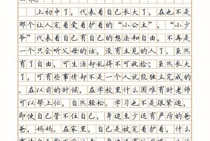 我的中学生活500字，我的中学生活500字作文