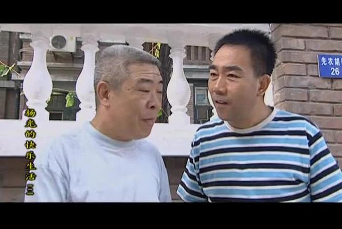 杨光新生活电视剧，杨光新生活电视剧免费观看