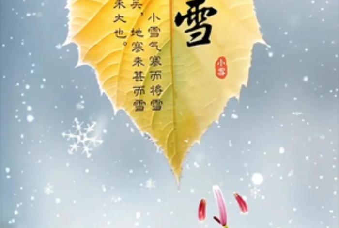 小雪的生活视频，继续播放小雪的