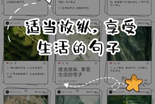 不会享受生活的人 不会享受生活的人说说句子简短