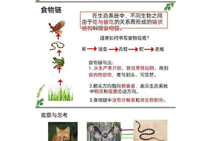 生活中的图示；生活中的图示教案及反思