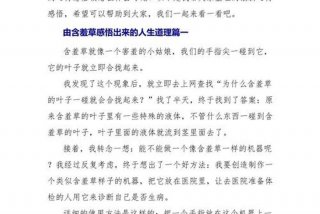 作文生活中的道理、作文生活中的道理400字