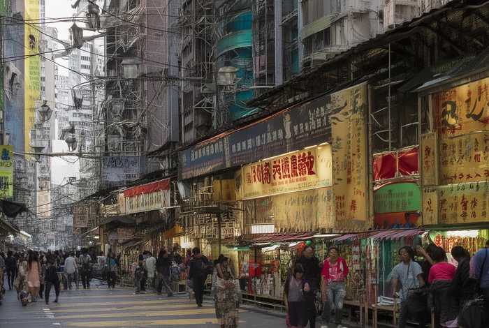 南宁宠物托运 南宁 宠物托运