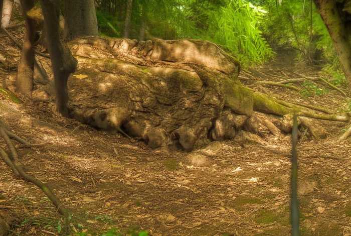 对人际关系的认识200字，对人际关系的认识200字左右