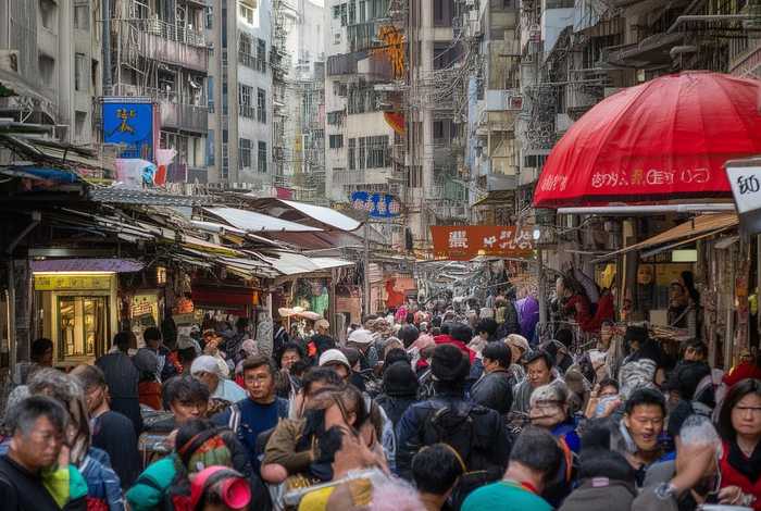 南宁宠物托运 南宁 宠物托运