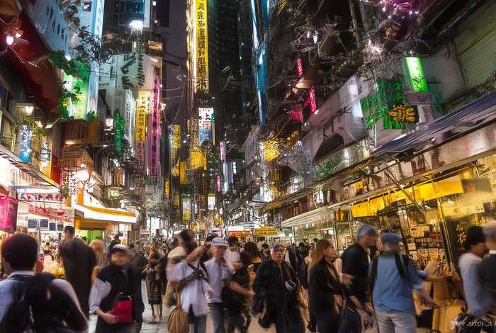 中通快递宠物违禁品 中通快递宠物违禁品怎么处理 中通快递宠物违禁品 中通快递宠物违禁品怎么处理