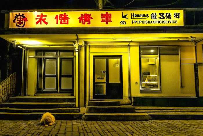 南京宠物医院地址 南京宠物医院24小时营业地址 南京宠物医院地址 南京宠物医院24小时营业地址