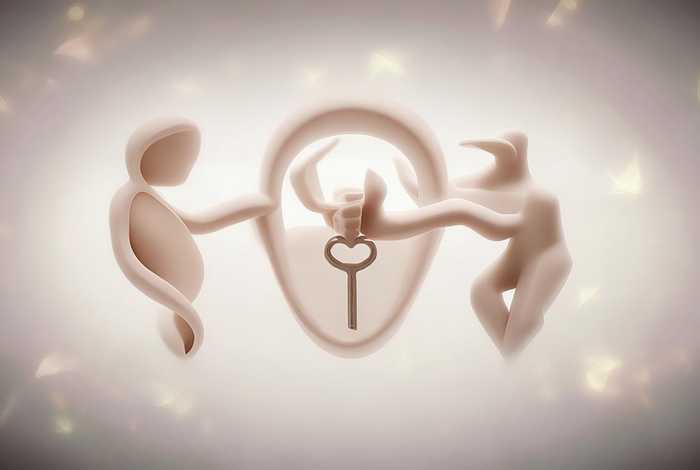 人际关系的三维理论认为三种基本的人际关系需要包括；人际关系的三维理论认为人的三种基本人际需要