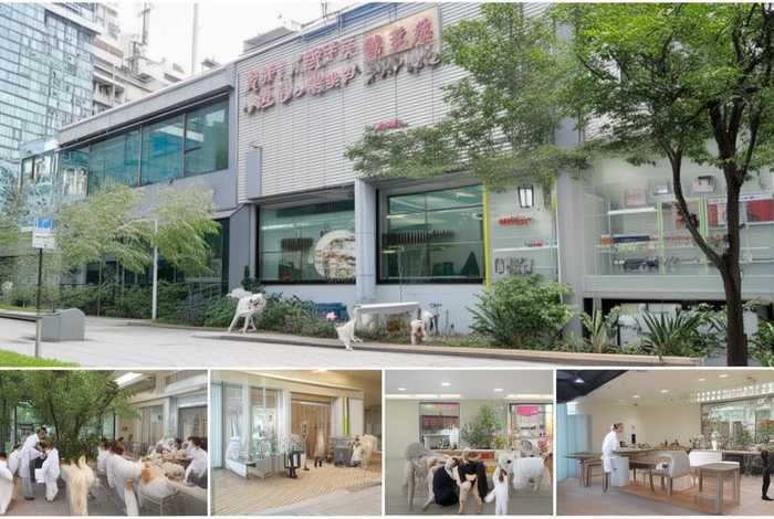 上海宠物医院前十名(上海宠物医院前十名排名) 上海宠物医院前十名(上海宠物医院前十名排名)