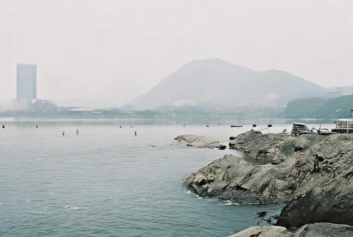 南宁宠物医院哪个好、南宁的宠物医院哪个好 南宁宠物医院哪个好、南宁的宠物医院哪个好