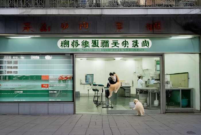 北京宠物医院价格 北京宠物医院价格查询