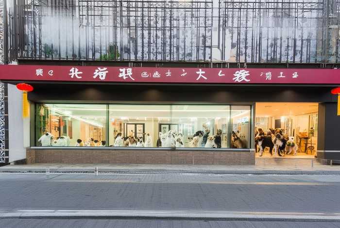 上海宠物医院青浦区,上海宠物医院青浦区有几家 上海宠物医院青浦区,上海宠物医院青浦区有几家