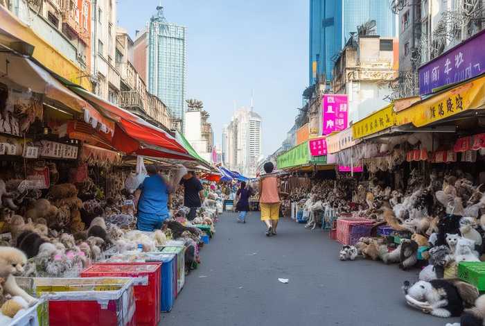 上海宠物市场在哪里；上海宠物市场在哪个地方