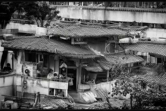 南昌维度宠物美容学校;南昌维度宠物美容学校是正规的吗 南昌维度宠物美容学校;南昌维度宠物美容学校是正规的吗