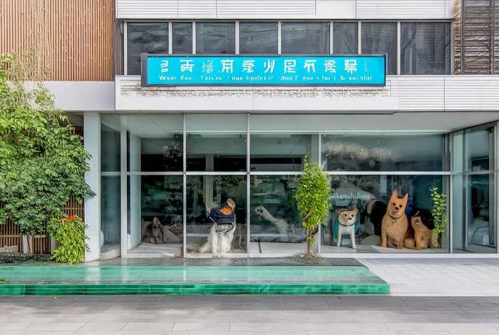 上海宠物医院招聘、上海宠物医院招聘浦东新区