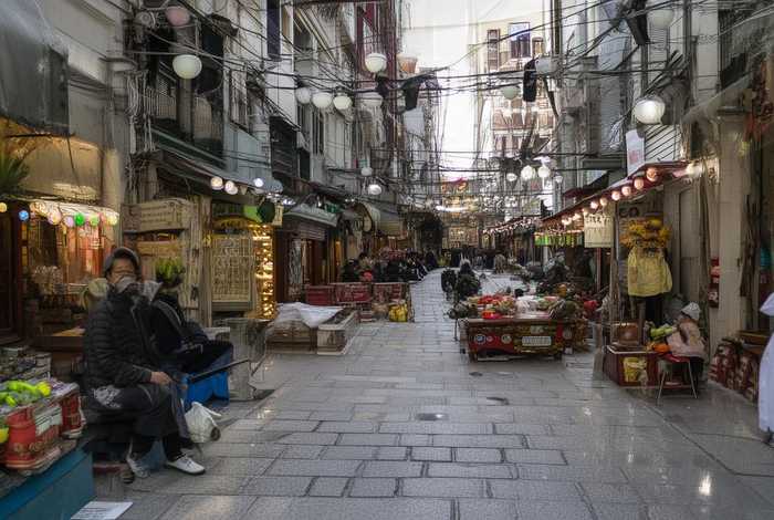 南宁宠物狗出售;南宁宠物狗出售信息 南宁宠物狗出售;南宁宠物狗出售信息