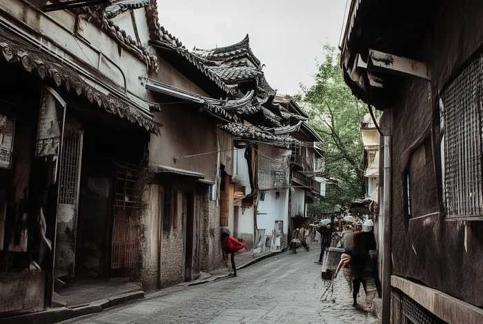 南昌维度宠物美容学校;南昌维度宠物美容学校是正规的吗 南昌维度宠物美容学校;南昌维度宠物美容学校是正规的吗