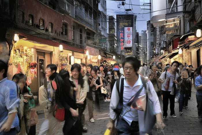 合肥宠物美容培训学校；合肥宠物美容培训学校立信学院怎么样