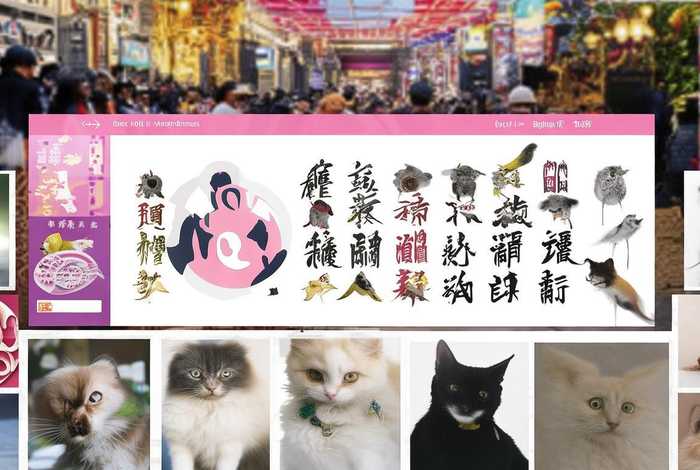 北京宠物交易网；北京宠物交易网站有哪些