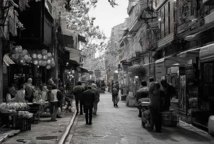 天津宠物市场排行榜前十名、天津宠物市场排行榜前十名有哪些