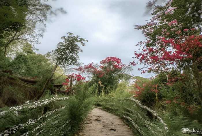 宠物养护与驯导专业论文(宠物养护与驯导专业论文题目) 宠物养护与驯导专业论文(宠物养护与驯导专业论文题目)