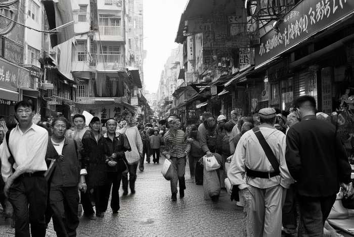 合肥宠物电话,合肥宠物店电话 合肥宠物电话,合肥宠物店电话