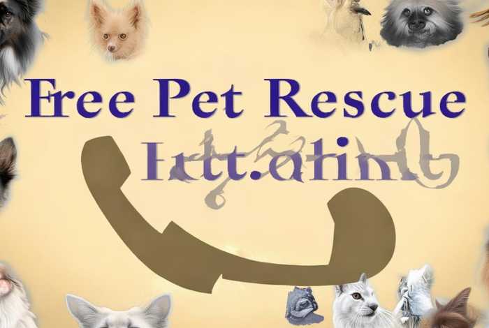 免费救助宠物电话;免费救助宠物电话号码 免费救助宠物电话;免费救助宠物电话号码