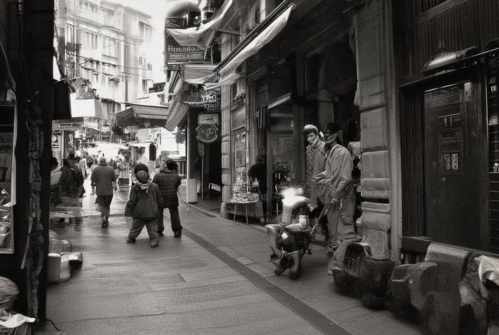 中通快递动物盲盒 苏州中通快递动物盲盒