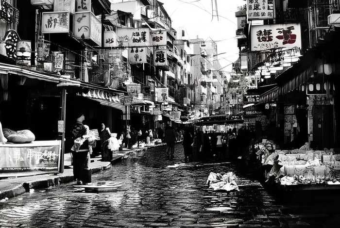 天津宠物市场推荐（天津宠物市场推荐狗狗）