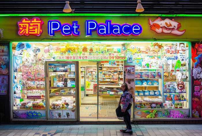 上海宠物店加盟条件（上海宠物店加盟条件有哪些）