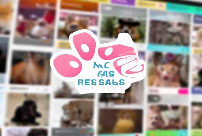 宠物交易商户版 宠物交易商户版app 宠物交易商户版 宠物交易商户版app