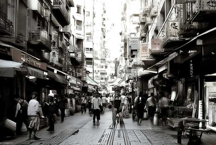 天津宠物市场排行榜前十名、天津宠物市场排行榜前十名有哪些