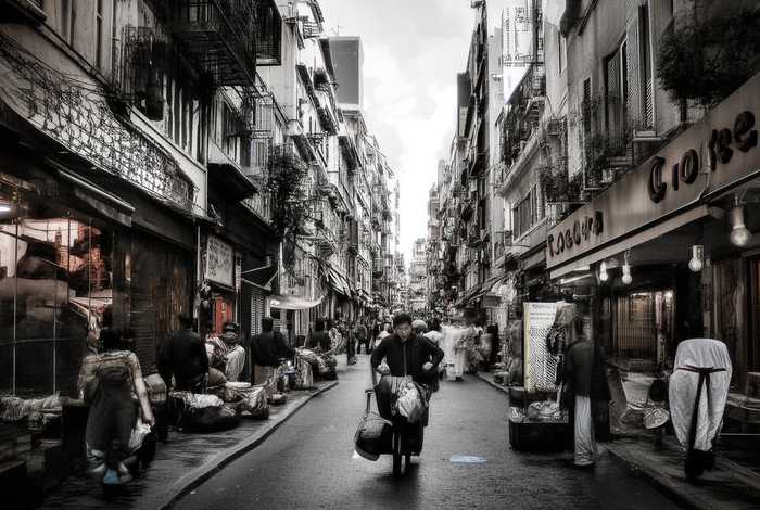 丽江宠物狗市场(丽江宠物狗市场地址) 丽江宠物狗市场(丽江宠物狗市场地址)