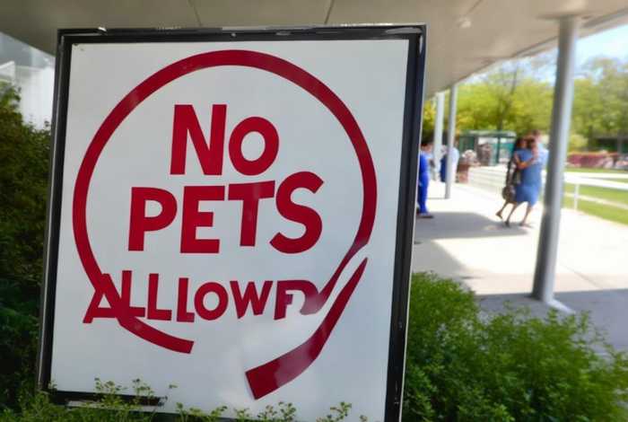 医院宠物禁止入内提示牌，宠物严禁入内提示牌