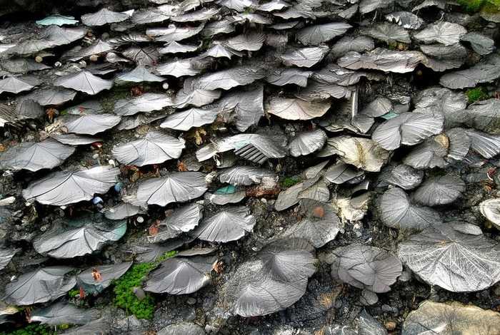 如何维持人际关系300字 - 如何去维持良好的人际关系