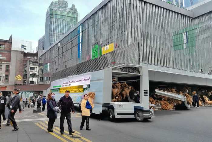 上海宠物托运中心 上海宠物托运中心电话